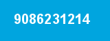 9086231214