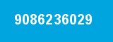 9086236029