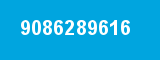 9086289616