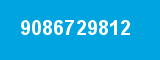 9086729812