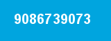 9086739073