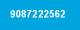 9087222562