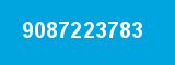 9087223783