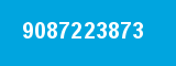 9087223873