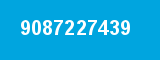 9087227439