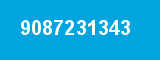 9087231343