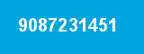 9087231451