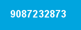 9087232873