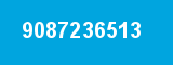9087236513 9087236513