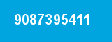 9087395411