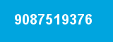9087519376