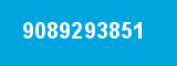 9089293851