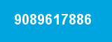 9089617886