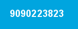 9090223823