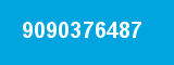 9090376487
