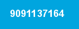 9091137164