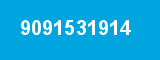 9091531914