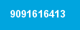 9091616413