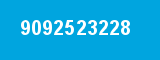 9092523228
