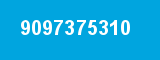 9097375310