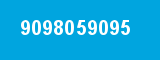 9098059095