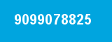 9099078825