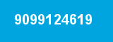 9099124619