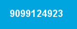 9099124923