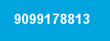 9099178813