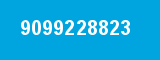 9099228823