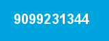 9099231344 9099231344