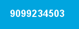9099234503