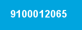 9100012065 9100012065