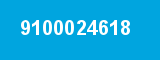 9100024618