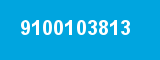 9100103813