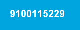 9100115229