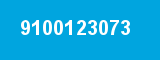 9100123073 9100123073