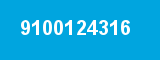 9100124316