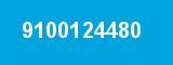 9100124480