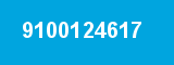 9100124617 9100124617