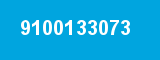 9100133073
