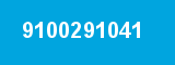 9100291041