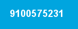 9100575231