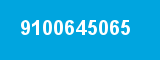 9100645065
