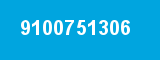 9100751306