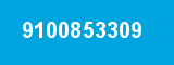 9100853309