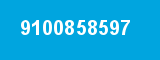 9100858597