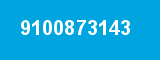 9100873143