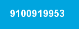 9100919953