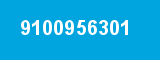 9100956301